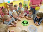 Rychlíme semínka a pozorujeme